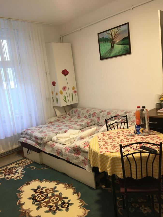 Apartment House Centrul Istoric *