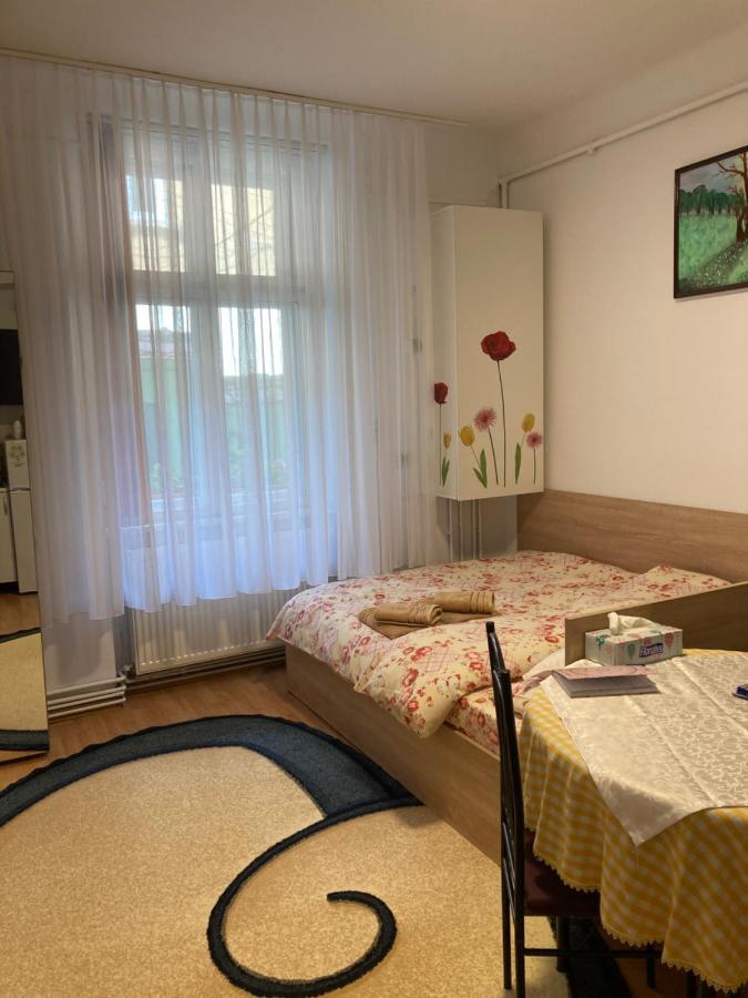 House Centrul Istoric Apartment *