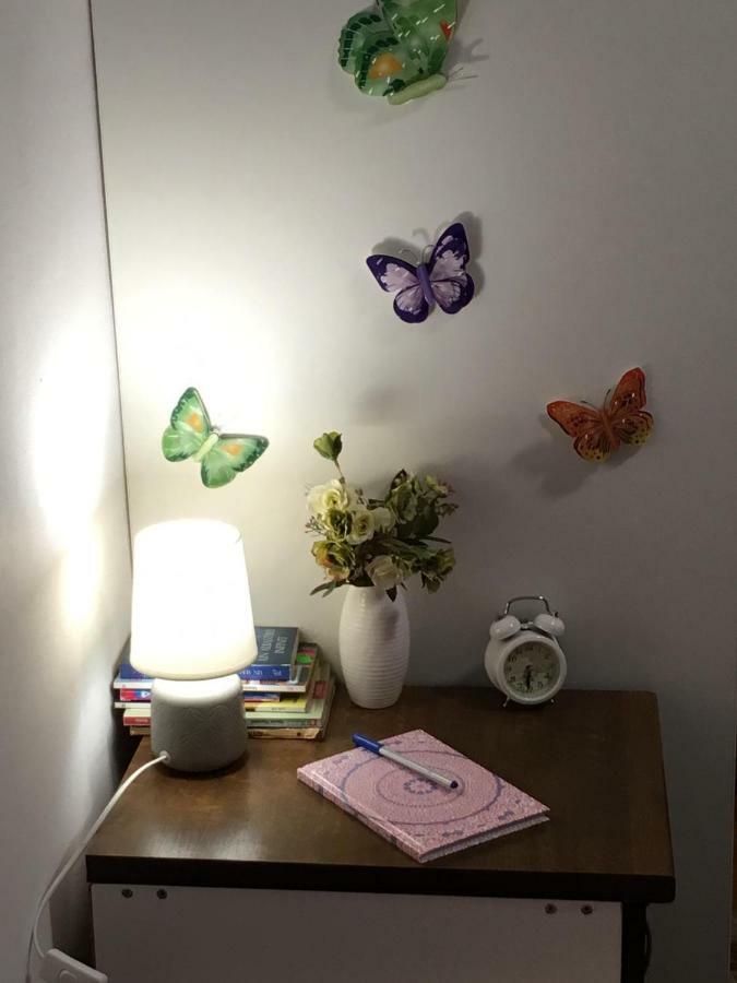 House Centrul Istoric Apartment *