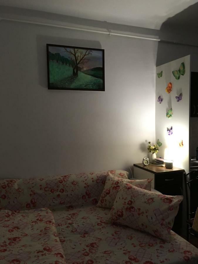 Apartment House Centrul Istoric *