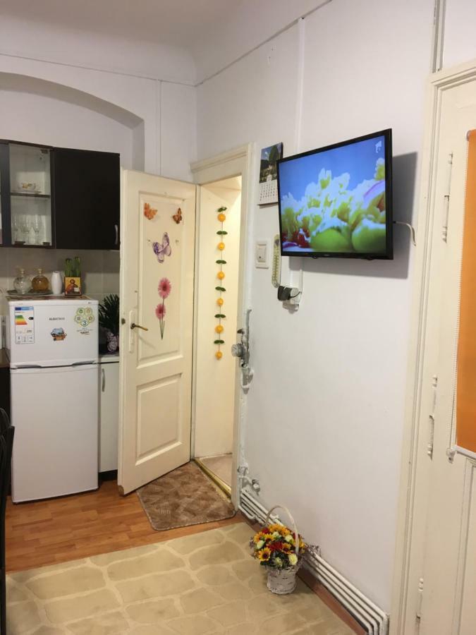 House Centrul Istoric Apartment *